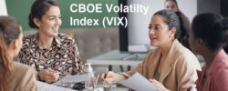 CBOE Volatilty Index (VIX)