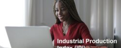 Industrial Production Index (IPI)